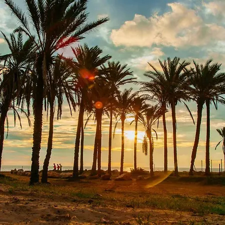 Laguna Salada * Los Altos